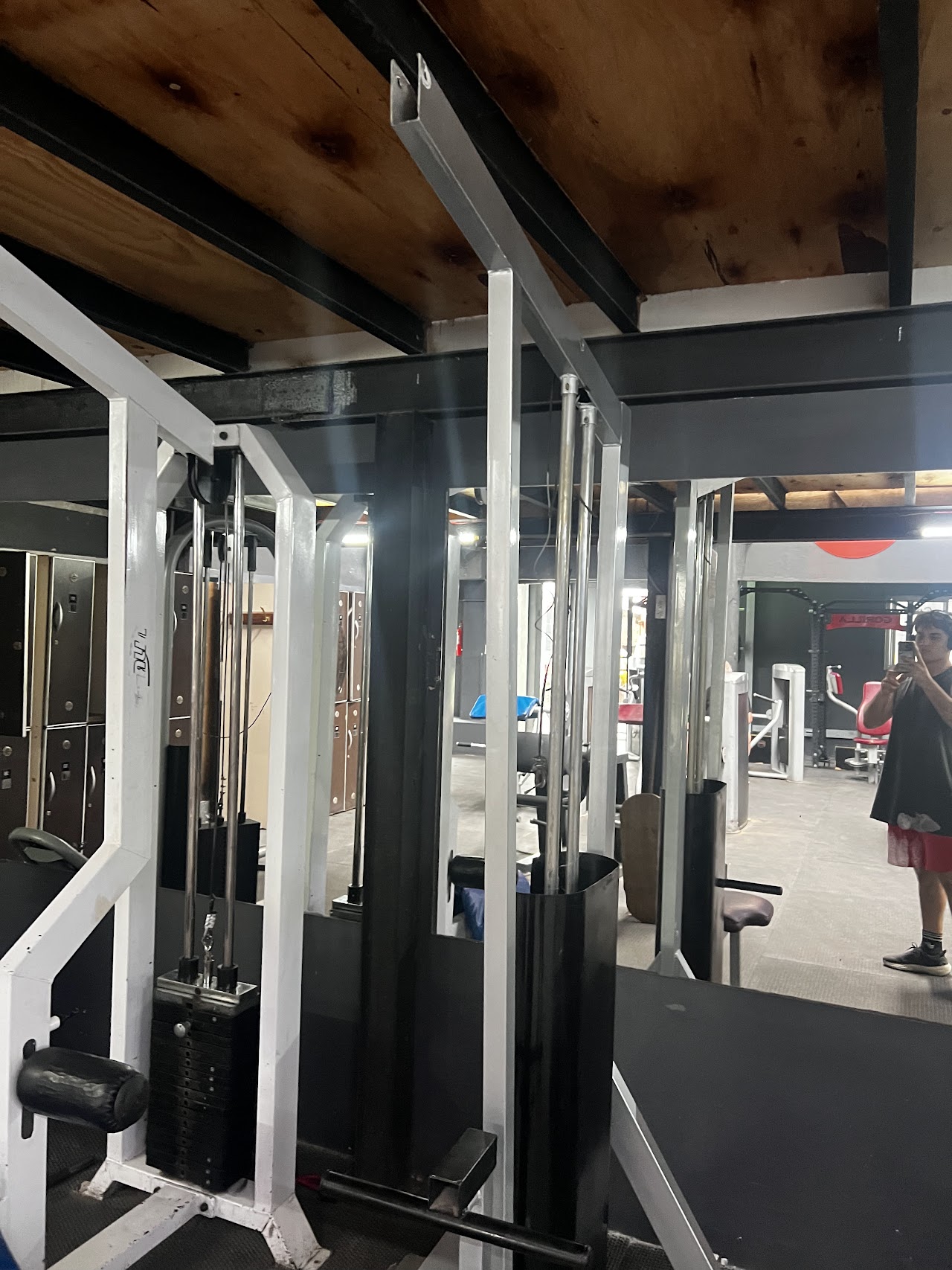 Zona de Cardio con Luz Natural