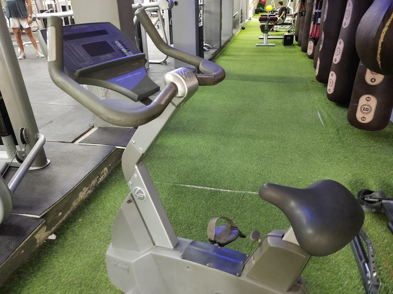 Área de Entrenamiento Funcional y Trineo
